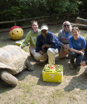animal nutrition to tortoises