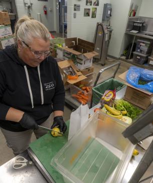 team member cutting up food