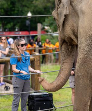 keeper with elephant
