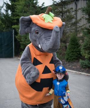 zoo mascot with child in costume