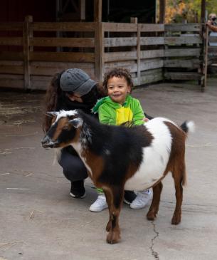 child petting goat