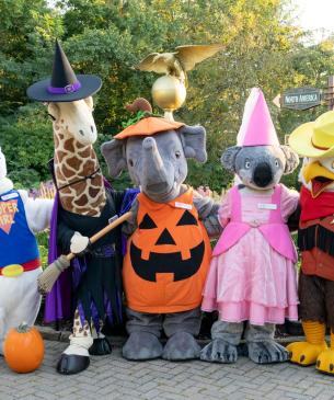 zoo mascots in costume