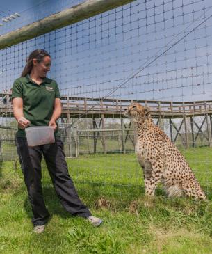 keeper and cheetah