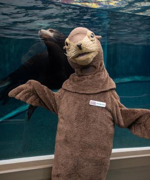 zoo mascot posing with sea lion