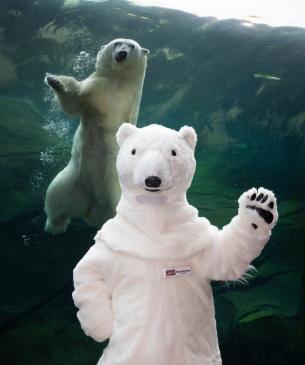 zoo mascot posing with polar bear