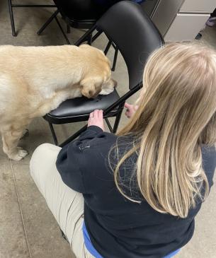 cheetah dog training