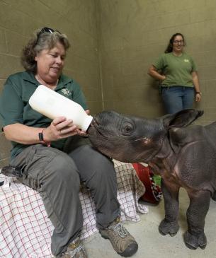 keeper with rhino