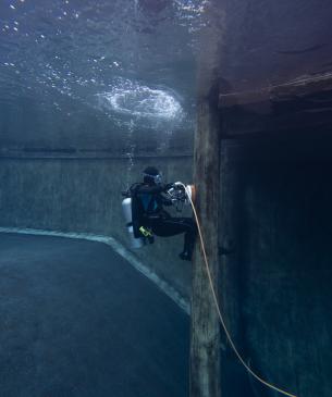 diver in water