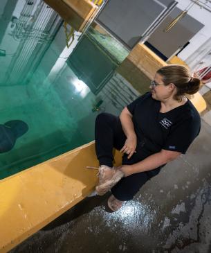 Manatee swimming at the Columbus Zoo