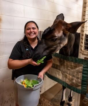 keeper with okapi