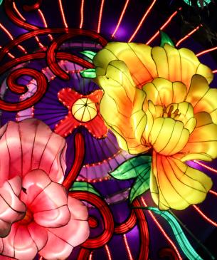 parosol lanterns
