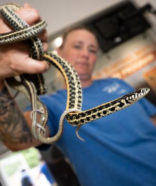 keeper holding snake