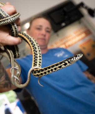Zookeeper holding snake
