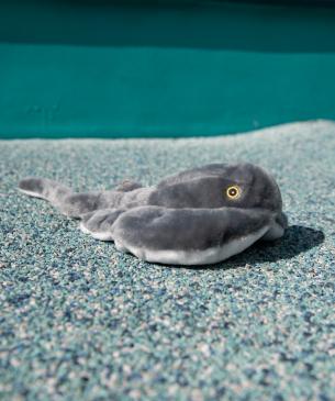 ray plush