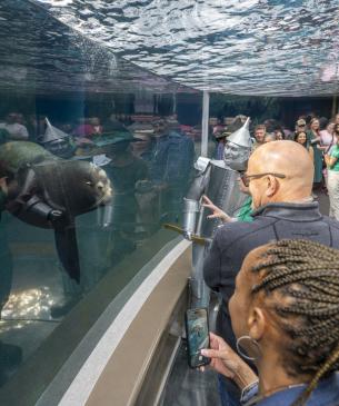 sea lion and guests