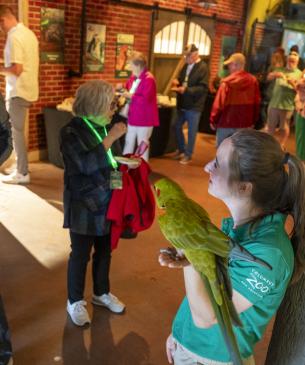 party guests at zoo
