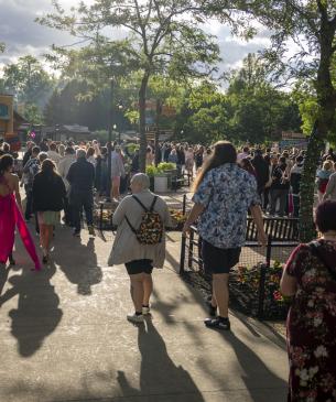 crowd at zoo party