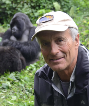 Jack Hanna with gorillas in background
