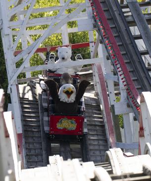 roller coaster at the Columbus Zoo
