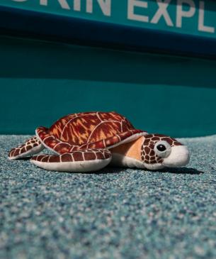 turtle plush