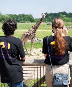 teens and giraffe