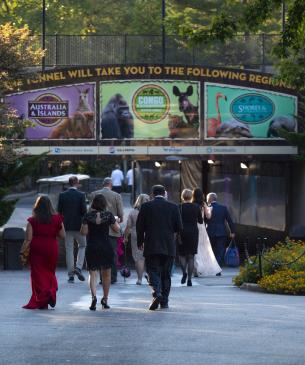Pictures from Untamed at the Columbus Zoo