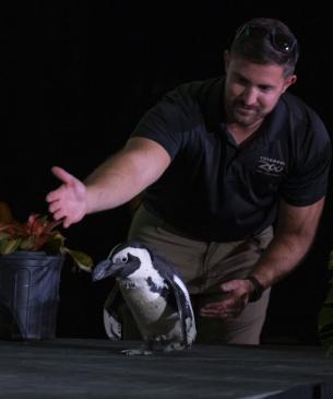 Pictures from Untamed at the Columbus Zoo