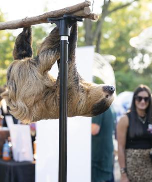 Pictures from Untamed at the Columbus Zoo