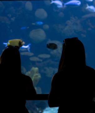 Pictures from Untamed at the Columbus Zoo