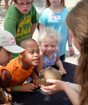 children looking at animal