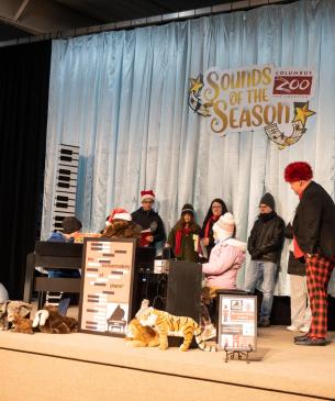 holiday performance