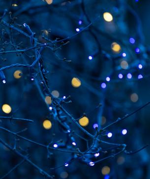 holiday lights