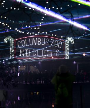 Columbus Zoo Wildlights holiday display