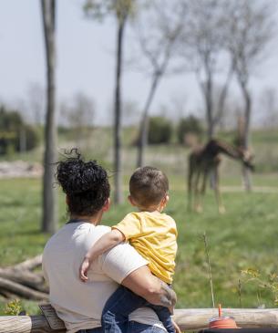 zoo guests looking to horizon