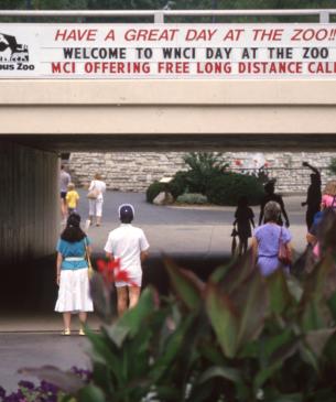 Zoo guests walking under road overpass