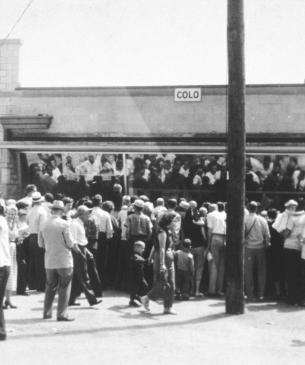 Habitat for gorillas at Columbus Zoo with people looking in window