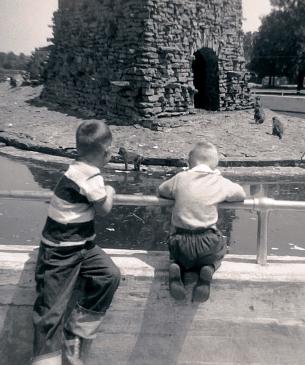 children looking into zoo habitat