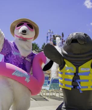 polar bear and manatee mascots posing for photo