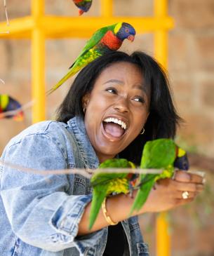 Lorikeet Feeding