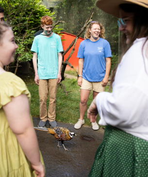 Staff, volunteers, and guests enjoying the aviary