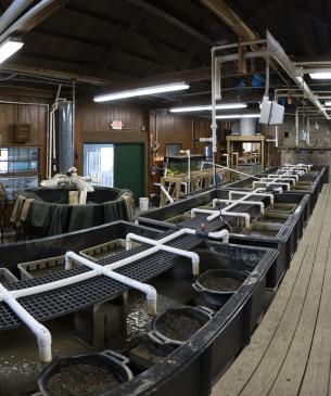 Watters Aquatic Conservation Center, where freshwater mussel conservation occurs