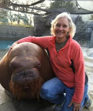 woman and walrus
