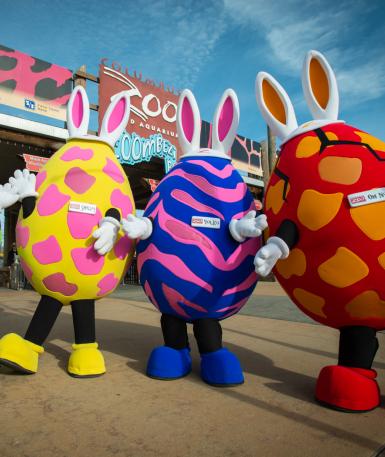 Up-close of all four Egg Characters in a line-up