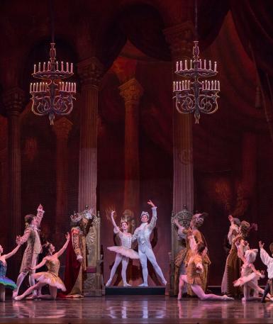 Sleeping Beauty performance