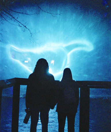 people watching zoo visuals