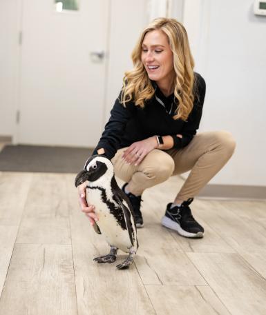 zookeeper and penguin