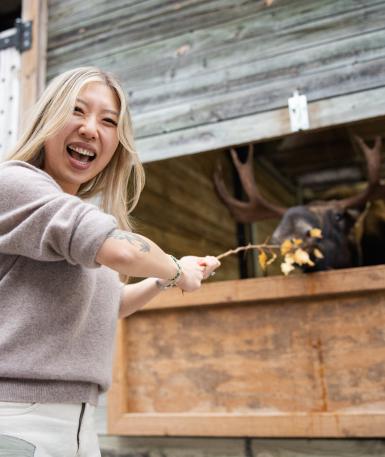 Feeding a Moose Experience