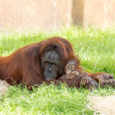 Khali and Clementine