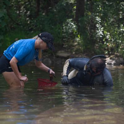 Hellbender Release