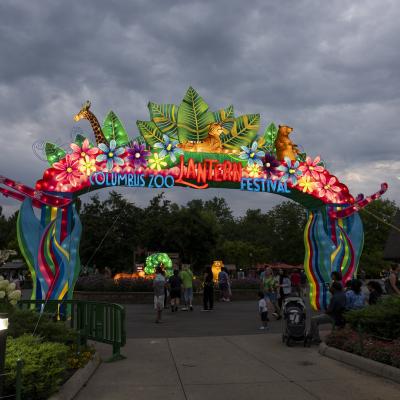 lantern entrance